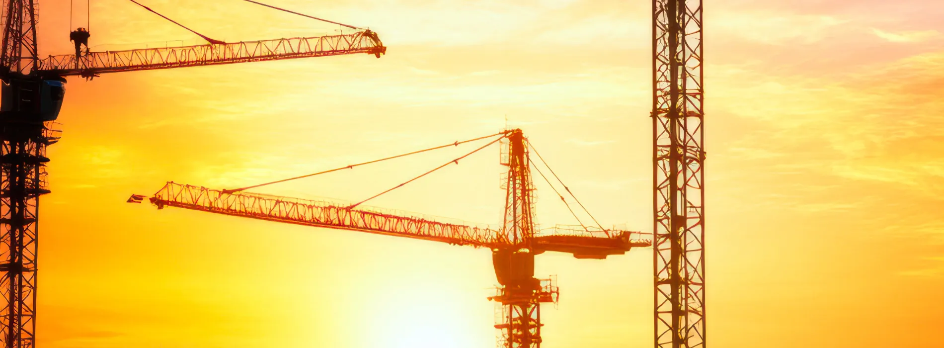 Cranes at sunset