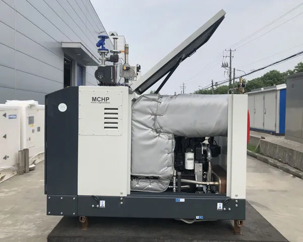 ACG Series CHP units