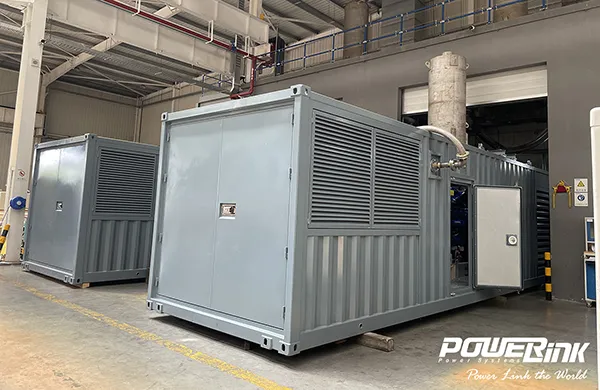 Containerised natural gas generator